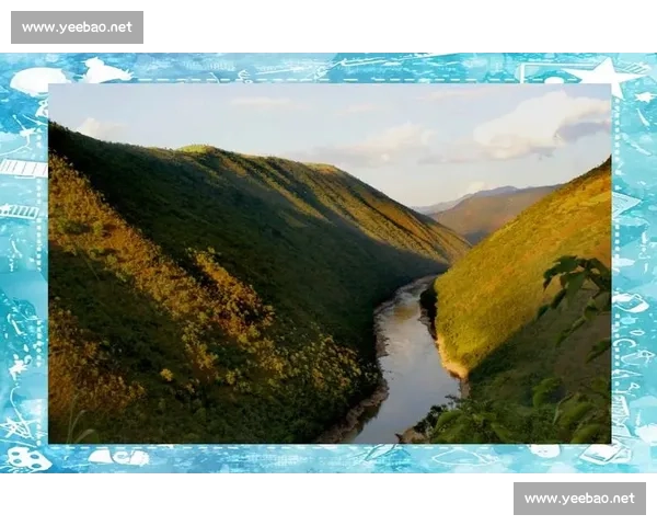 探秘哀牢山神秘生态宝库揭示高山雨林与人文奇观的和谐共生