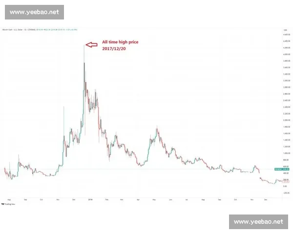 比特币的未来发展与全球经济变革趋势分析及其潜在风险